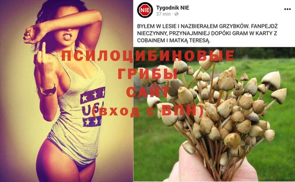 марки nbome Балахна