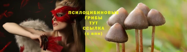 гидра Балабаново